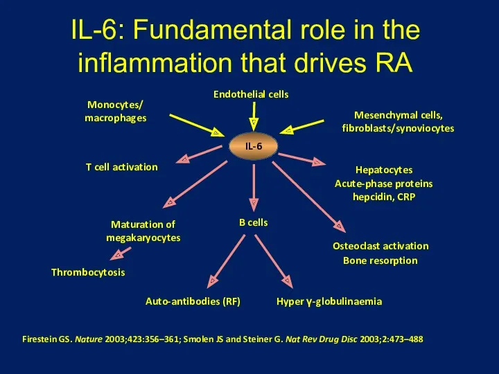 IL-6: Fundamental role in the inflammation that drives RA Firestein