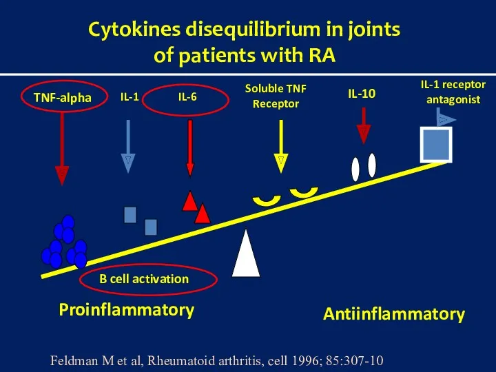 Cytokines disequilibrium in joints of patients with RA Proinflammatory Antiinflammatory