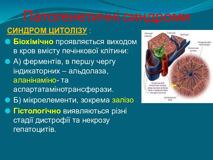 Патогенетичні синдроми СИНДРОМ ЦИТОЛІЗУ : Біохімічно проявляється виходом в кров