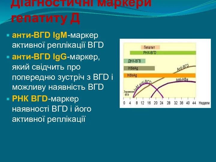 Діагностичні маркери гепатиту Д анти-ВГD IgM-маркер активної реплікації ВГD анти-ВГD