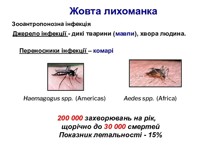 Зооантропонозна інфекція Джерело інфекції - дикі тварини (мавпи), хвора людина. Переносники інфекції –