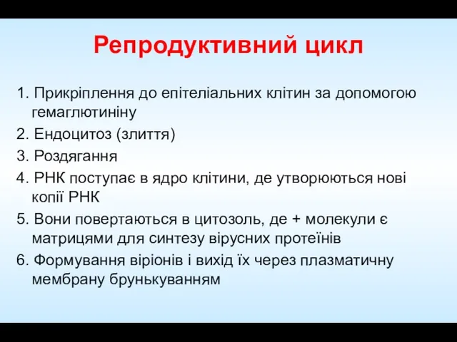 1. Прикріплення до епітеліальних клітин за допомогою гемаглютиніну 2. Ендоцитоз