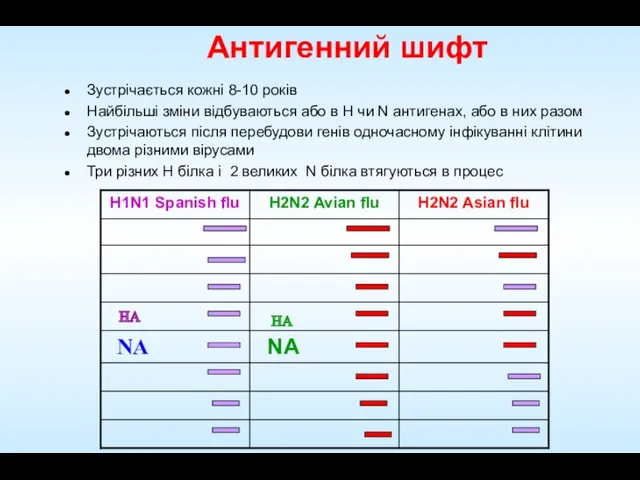 Антигенний шифт Зустрічається кожні 8-10 років Найбільші зміни відбуваються або