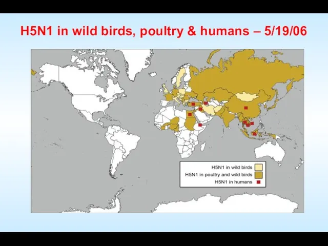 H5N1 in wild birds, poultry & humans – 5/19/06