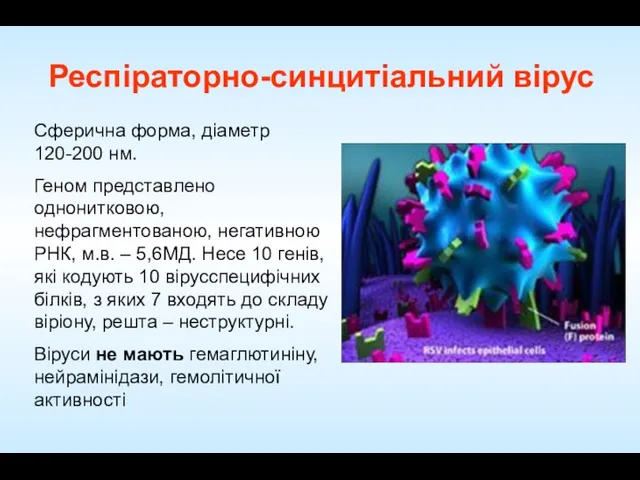 Сферична форма, діаметр 120-200 нм. Геном представлено однонитковою, нефрагментованою, негативною