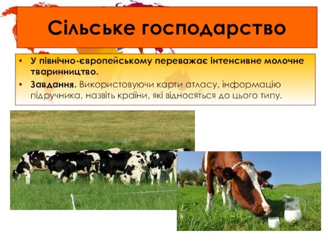 Сільське господарство У північно-європейському переважає інтенсивне молочне тваринництво. Завдання. Використовуючи