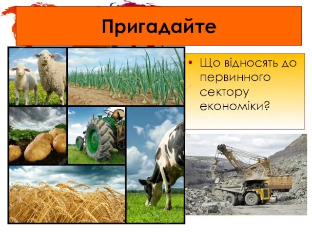 Пригадайте Що відносять до первинного сектору економіки?