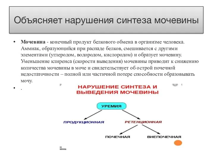 Объясняет нарушения синтеза мочевины Мочевина - конечный продукт белкового обмена