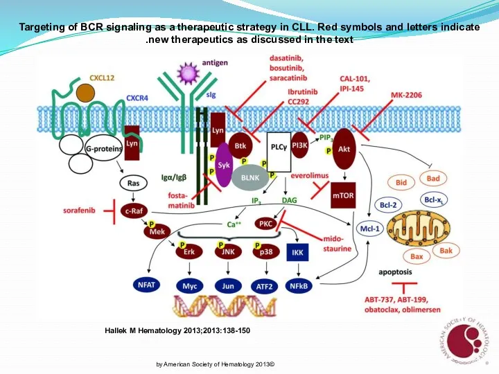 Targeting of BCR signaling as a therapeutic strategy in CLL.