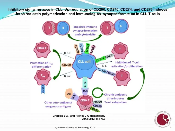 Inhibitory signaling axes in CLL. Up-regulation of CD200, CD270, CD274,