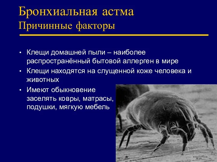 Бронхиальная астма Причинные факторы Клещи домашней пыли – наиболее распространённый