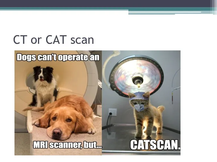 CT or CAT scan