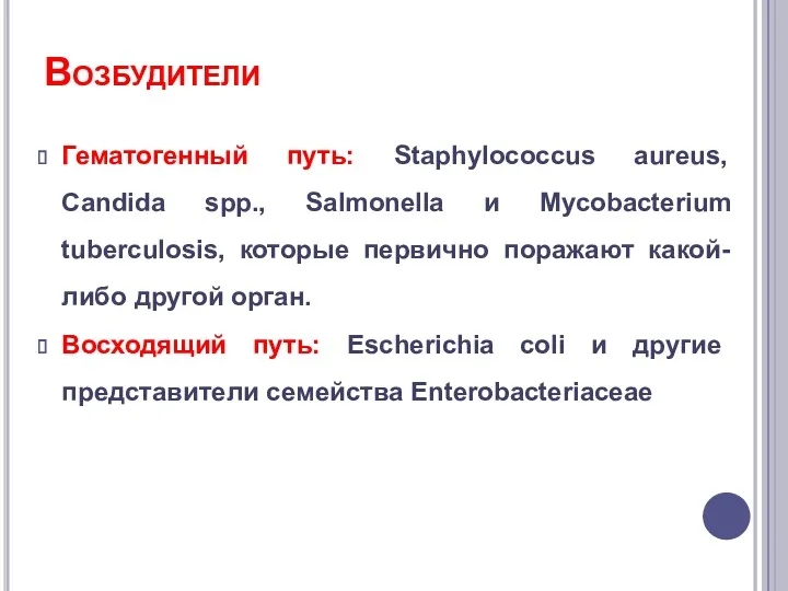 Возбудители Гематогенный путь: Staphylococcus aureus, Candida spp., Salmonella и Mycobacterium