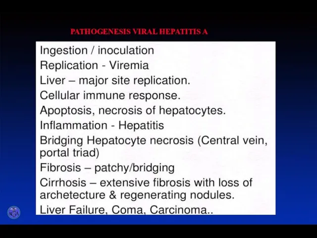 p PATHOGENESIS VIRAL HEPATITIS A