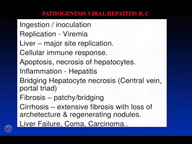 PATHOGENESIS VIRAL HEPATITIS B, C