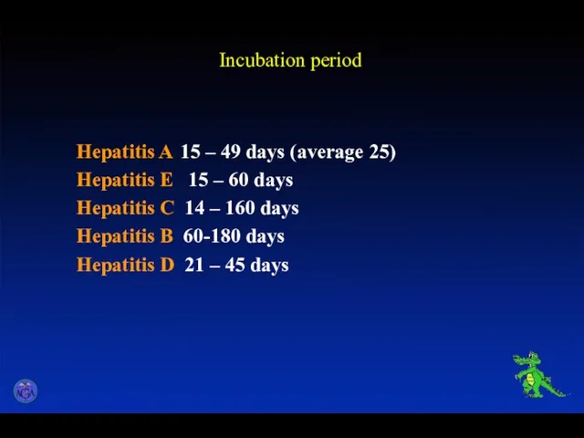 Incubation period Hepatitis A 15 – 49 days (average 25)