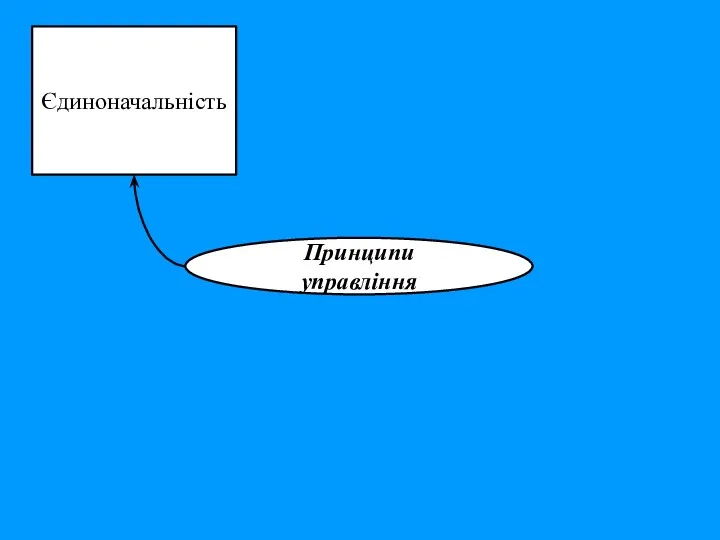 Єдиноначальність Принципи управління