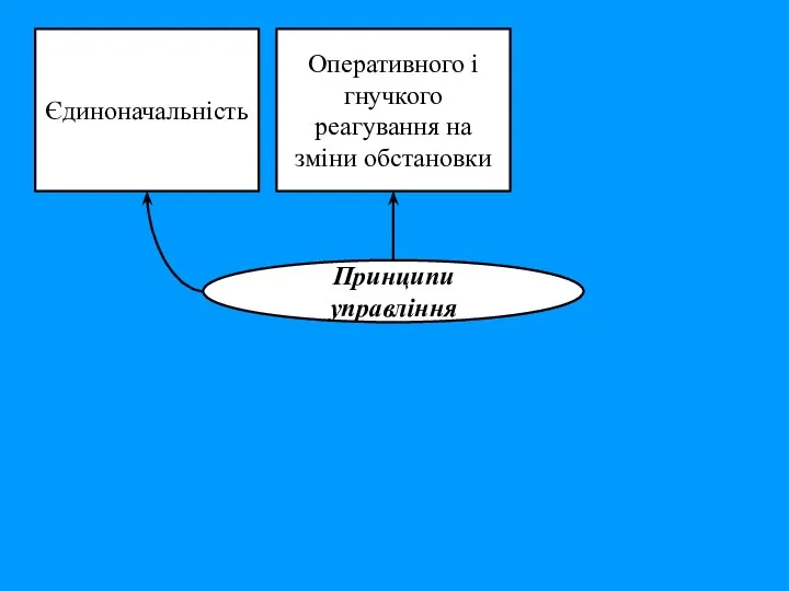 Єдиноначальність Оперативного і гнучкого реагування на зміни обстановки Принципи управління