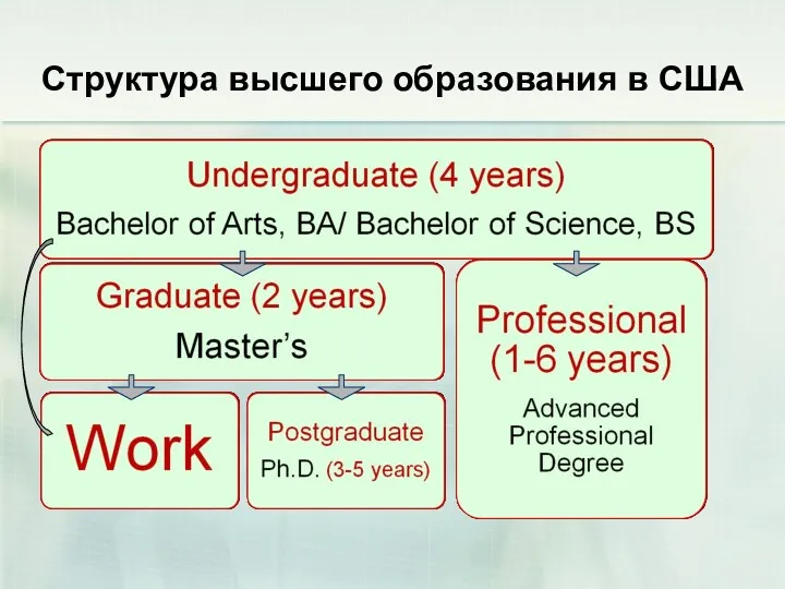 Структура высшего образования в США