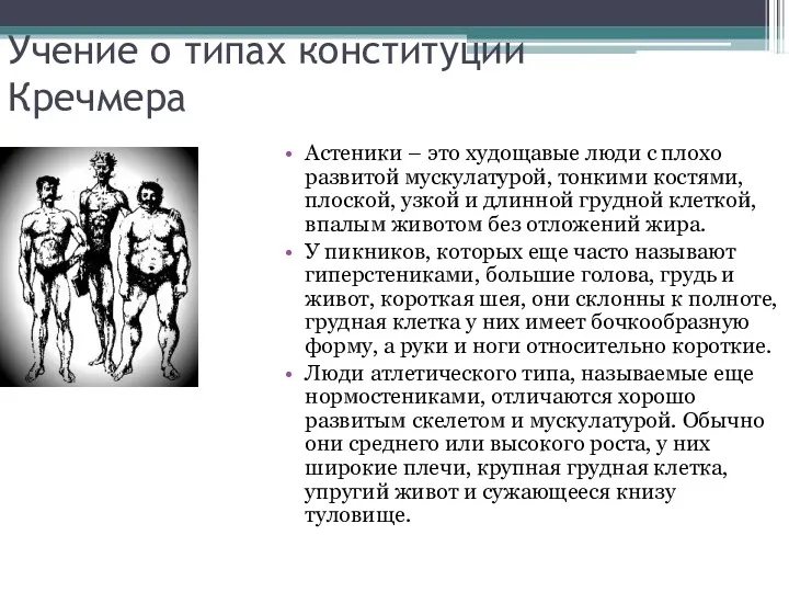 Учение о типах конституции Кречмера Астеники – это худощавые люди