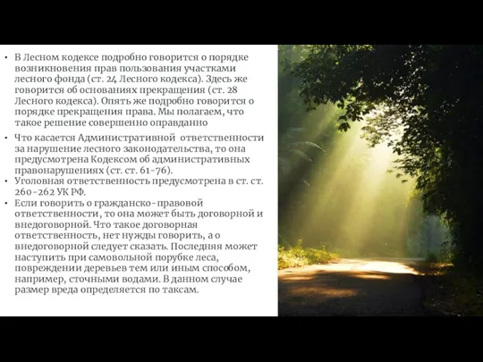 В Лесном кодексе подробно говорится о порядке возникновения прав пользования