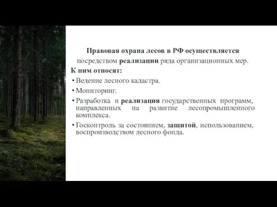 Правовая охрана лесов в РФ осуществляется посредством реализации ряда организационных