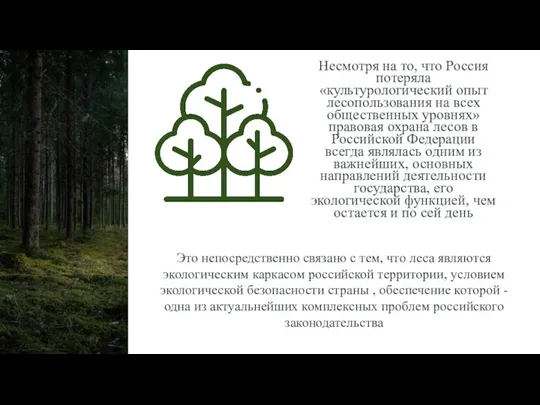 Несмотря на то, что Россия потеряла «культурологический опыт лесопользования на