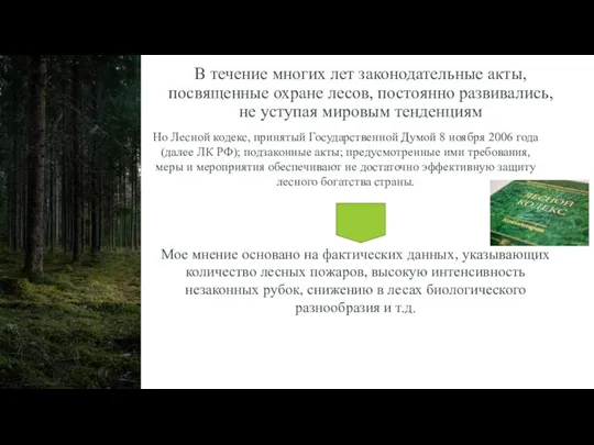 В течение многих лет законодательные акты, посвященные охране лесов, постоянно