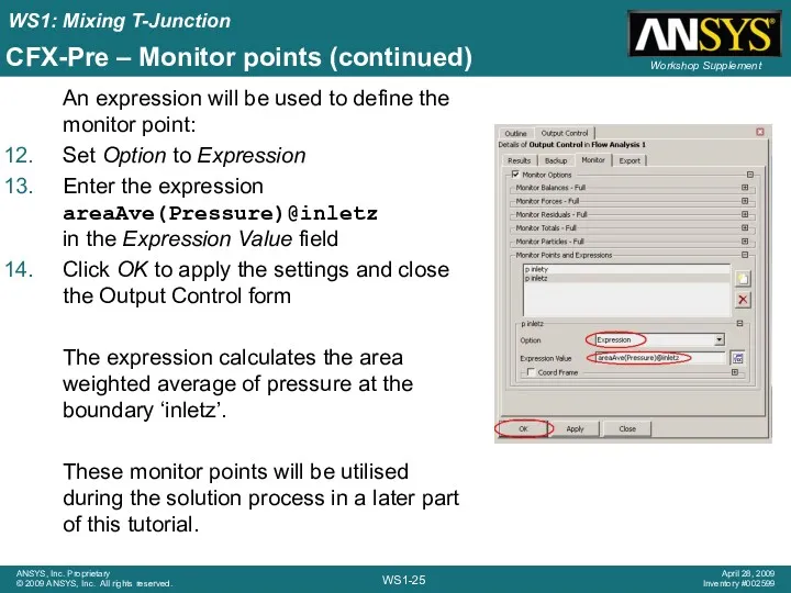 CFX-Pre – Monitor points (continued) An expression will be used