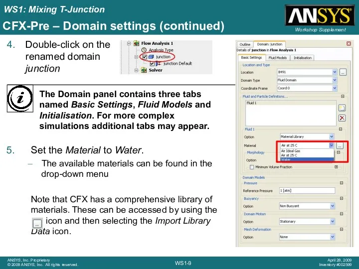 CFX-Pre – Domain settings (continued) Double-click on the renamed domain