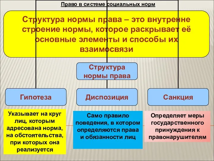 Право в системе социальных норм Структура нормы права – это