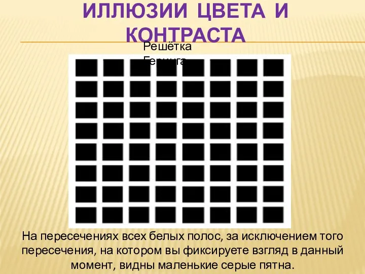 ИЛЛЮЗИИ ЦВЕТА И КОНТРАСТА Решётка Геринга На пересечениях всех белых