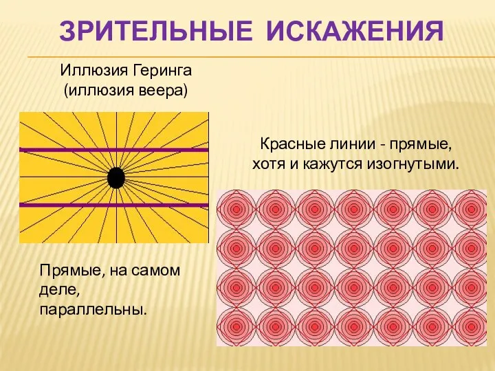 ЗРИТЕЛЬНЫЕ ИСКАЖЕНИЯ Иллюзия Геринга (иллюзия веера) Прямые, на самом деле,