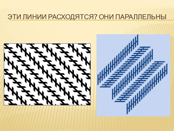 ЭТИ ЛИНИИ РАСХОДЯТСЯ? ОНИ ПАРАЛЛЕЛЬНЫ