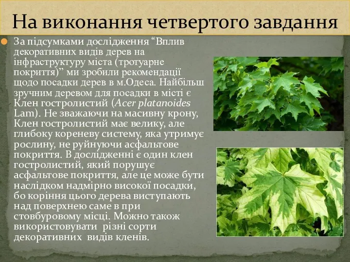 За підсумками дослідження “Вплив декоративних видів дерев на інфраструктуру міста