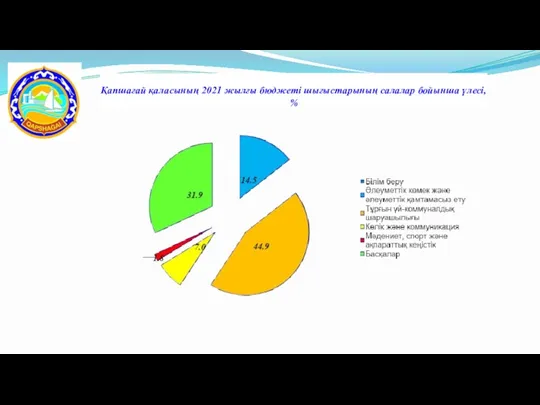 Қапшағай қаласының 2021 жылғы бюджеті шығыстарының салалар бойынша үлесі, %