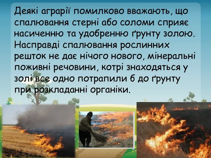 Деякі аграрії помилково вважають, що спалювання стерні або соломи сприяє