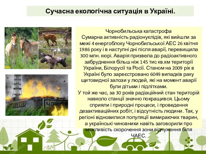 Сучасна екологічна ситуація в Україні. Чорнобильська катастрофа Сумарна активність радіонуклідів,