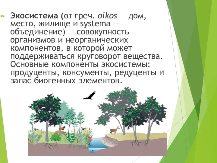 Экосистема (от греч. oikos — дом, место, жилище и systema