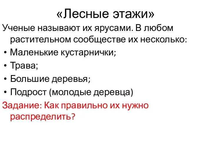 «Лесные этажи» Ученые называют их ярусами. В любом растительном сообществе