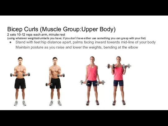 Bicep Curls (Muscle Group:Upper Body) 2 sets 10-12 reps each