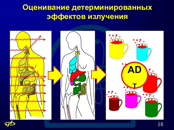 Оценивание детерминированных эффектов излучения ADT