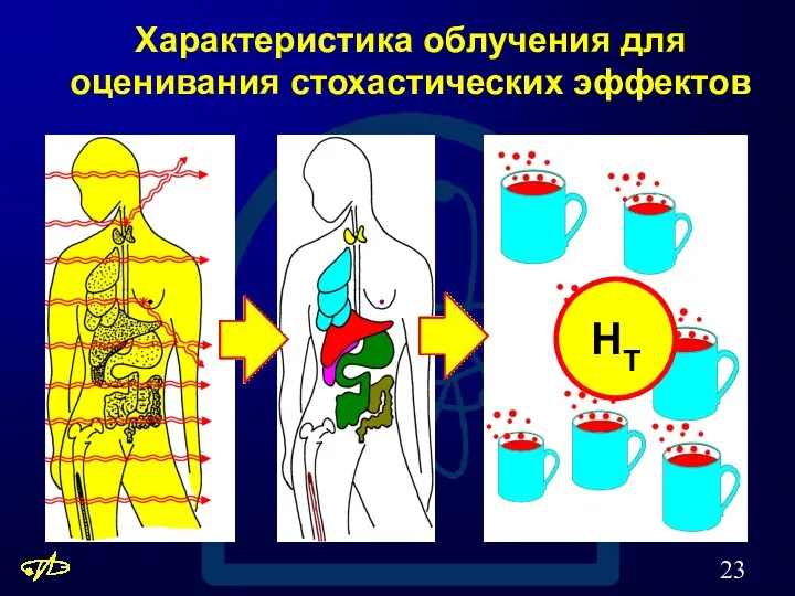 Характеристика облучения для оценивания стохастических эффектов HT