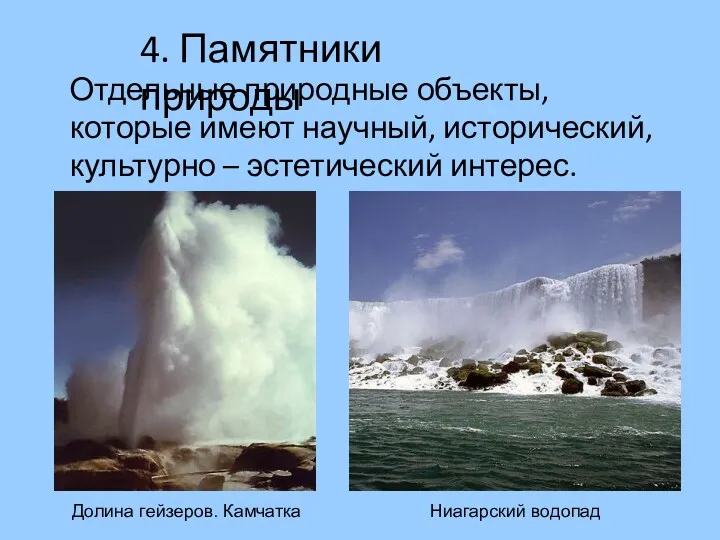 Отдельные природные объекты, которые имеют научный, исторический, культурно – эстетический интерес. 4. Памятники