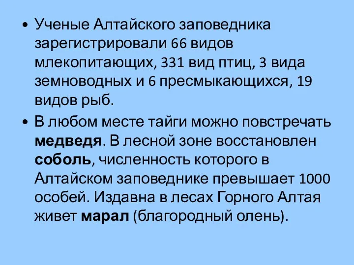 Ученые Алтайского заповедника зарегистрировали 66 видов млекопитающих, 331 вид птиц, 3 вида земноводных