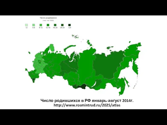 Число родившихся в РФ январь-август 2014г. http://www.rosmintrud.ru/2025/atlas