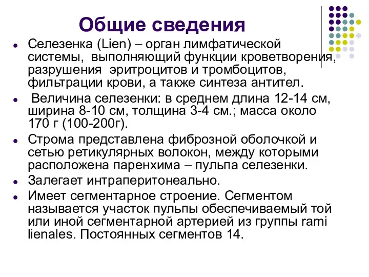 Общие сведения Селезенка (Lien) – орган лимфатической системы, выполняющий функции