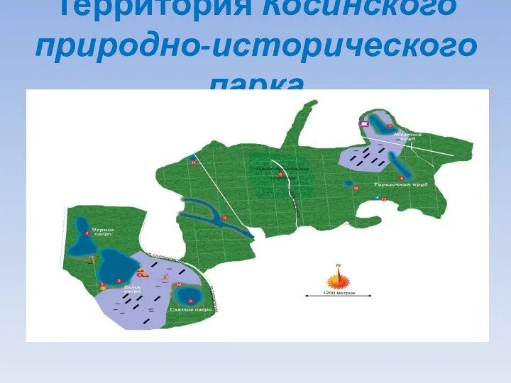 Территория Косинского природно-исторического парка