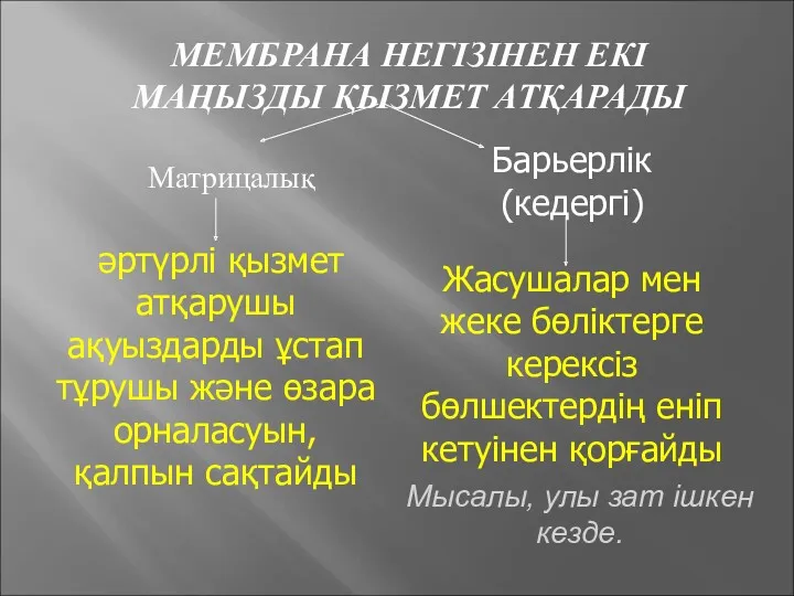 МЕМБРАНА НЕГІЗІНЕН ЕКІ МАҢЫЗДЫ ҚЫЗМЕТ АТҚАРАДЫ Матрицалық Барьерлік (кедергі) әртүрлі