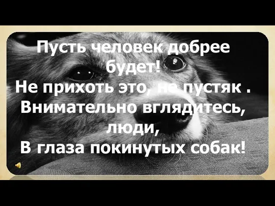 Пусть человек добрее будет! Не прихоть это, не пустяк .